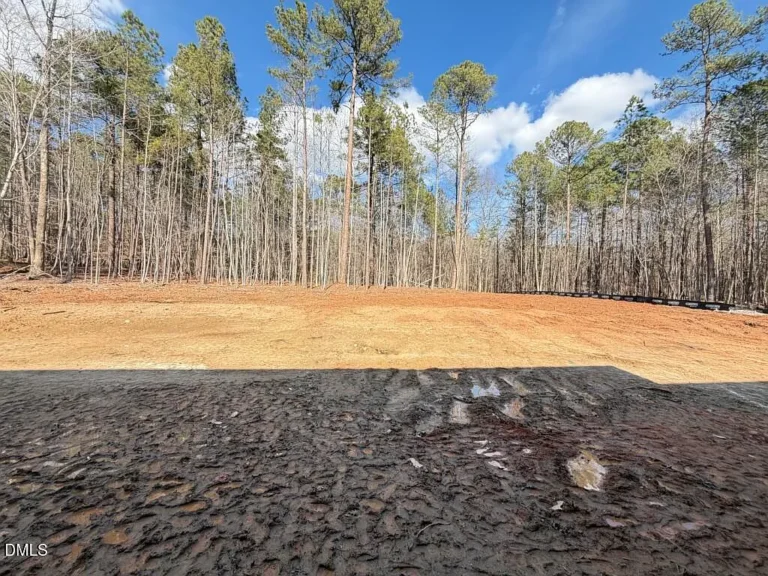 Brixley Circle, Raleigh (14)